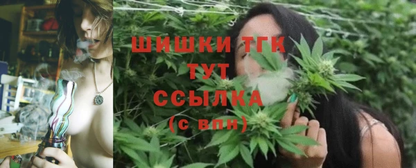 твердый Абаза