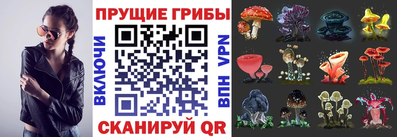 Галлюциногенные грибы MAGIC MUSHROOMS  Усмань 